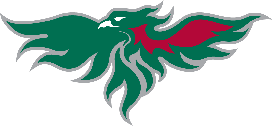 Wisconsin-Green Bay Phoenix 2007-Pres Partial Logo diy DTF decal sticker